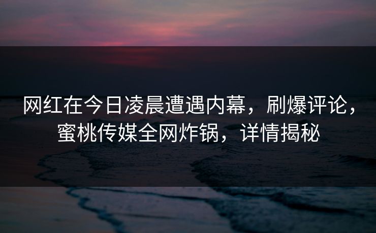 网红在今日凌晨遭遇内幕,刷爆评论,蜜桃传媒全网炸锅,详情揭秘 网红在今日凌晨遭遇内幕,刷爆评论,蜜桃传媒全网炸锅,详情揭秘