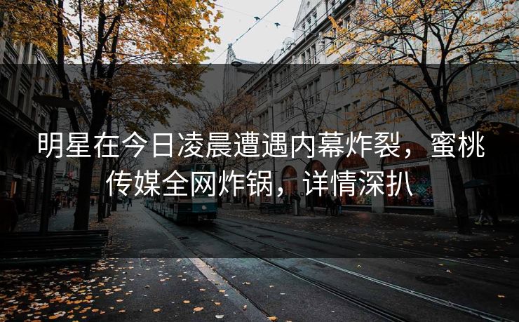明星在今日凌晨遭遇内幕炸裂，蜜桃传媒全网炸锅，详情深扒