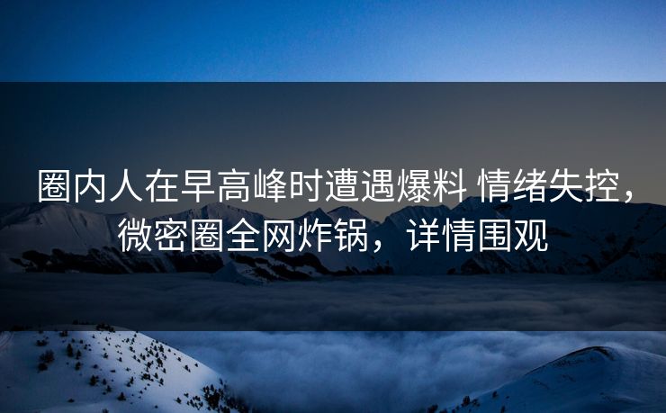 圈内人在早高峰时遭遇爆料 情绪失控，微密圈全网炸锅，详情围观